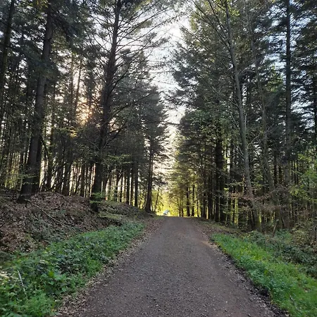 Roulotte Grandjardin Hébergement de vacances Dommartin-aux-Bois