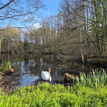 Roulotte Grandjardin Hébergement de vacances *
